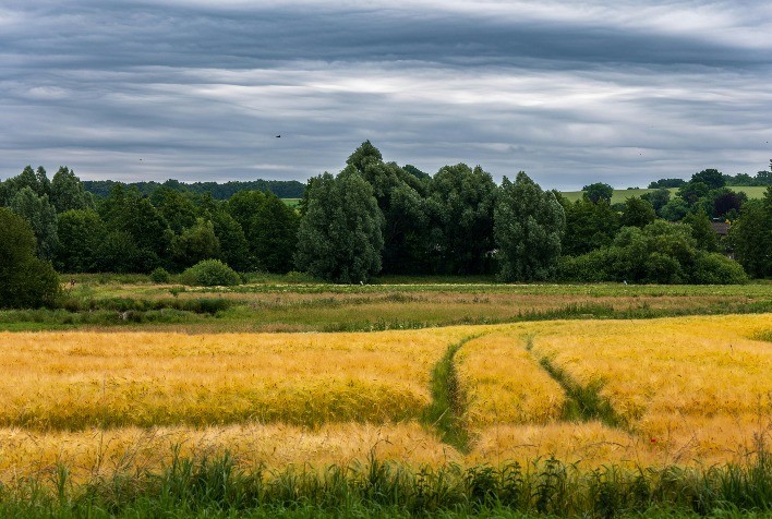 Agricultura Regenerativa